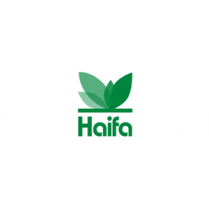 Haifa