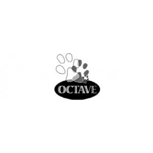 Octave