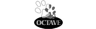 Octave