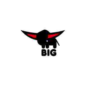 BIG