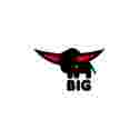 BIG, fabricant allemands de jouets