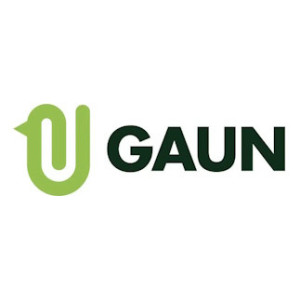 Gaun