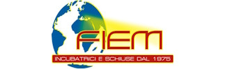 Fiem